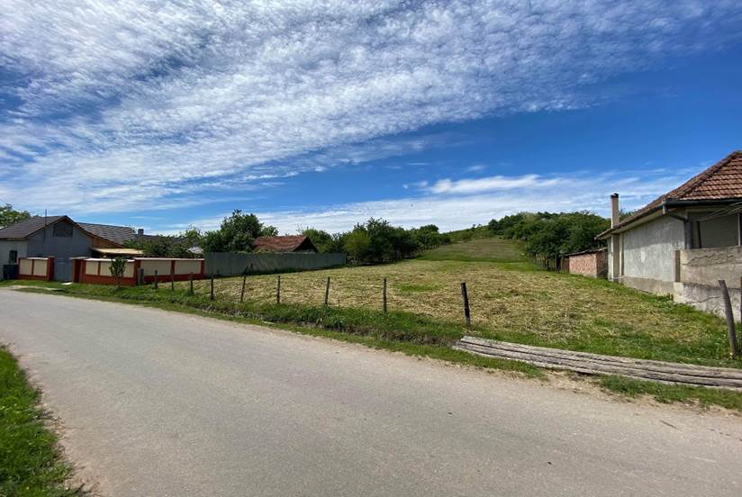 A road with houses and grass

Description automatically generated